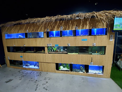 Pet Store «Everything Pet», reviews and photos, 3616 N Fry Rd, Katy, TX 77449, USA