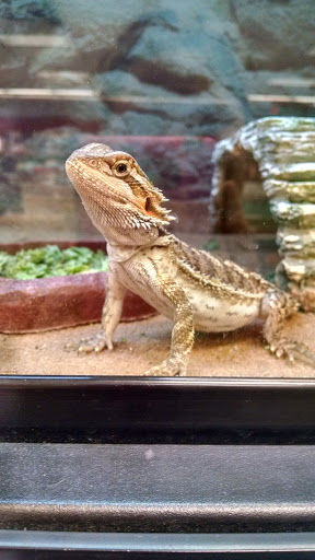 Pet Supply Store «Petco Animal Supplies», reviews and photos, 7721 Mentor Ave, Mentor, OH 44060, USA