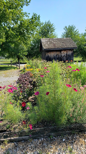 Farm «Manoff Market Gardens», reviews and photos, 3157 Comfort Rd, Solebury, PA 18963, USA