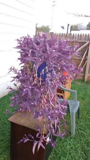 Amphitheater «RiversEdge», reviews and photos, 116 Dayton St, Hamilton, OH 45011, USA