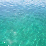 Photo n°1 de l'avis de Stefano.C fait le 17/09/2018 à 10:28 sur le  Ristorante da Tonino Re di Tavolara à Loiri Porto San Paolo