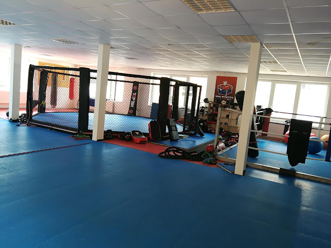 Recenze na MMA Monster Gym v Praha - Tělocvična