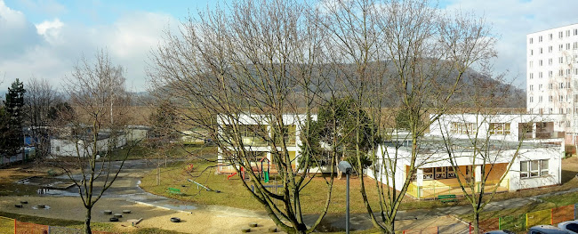 Materská škola Lienka