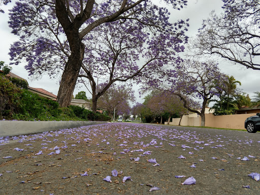 Park «Cerritos Park East», reviews and photos, 13234 E 166th St, Cerritos, CA 90703, USA