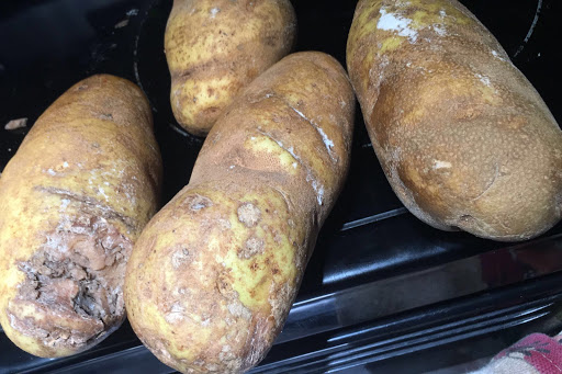 Supermarket «ALDI», reviews and photos, 924 FL-436 #1410, Altamonte Springs, FL 32714, USA