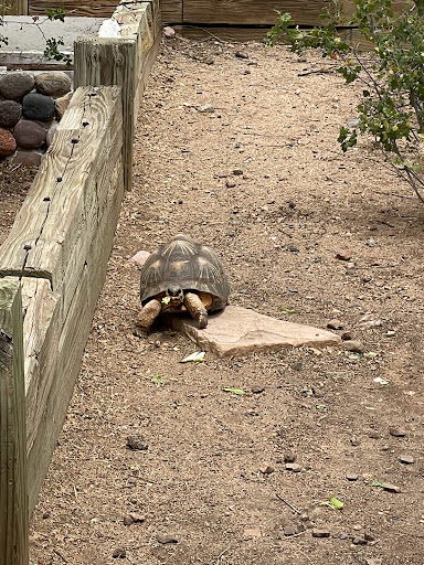 Zoo «Heritage Park Zoological Sanctuary», reviews and photos, 1403 Heritage Park Rd, Prescott, AZ 86301, USA