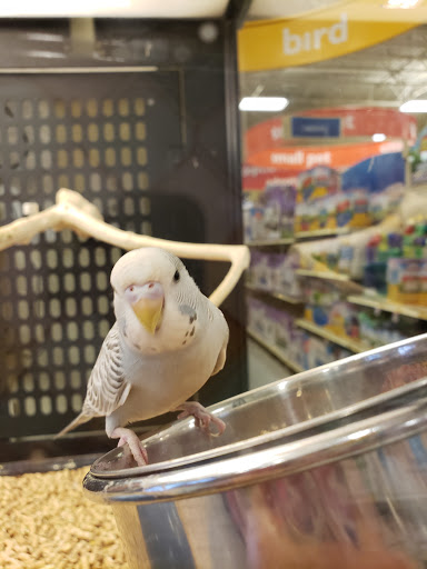 Pet Supply Store «PetSmart», reviews and photos, 2360 W Oregon Ave, Philadelphia, PA 19145, USA
