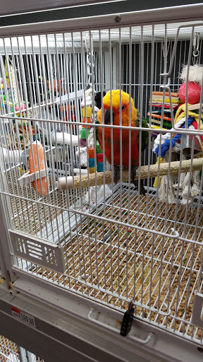 Pet Supply Store «Pet Supplies Plus», reviews and photos, 9500 Dorchester Rd #350, Summerville, SC 29485, USA