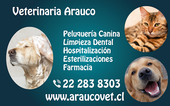 Veterinaria Arauco - Veterinario