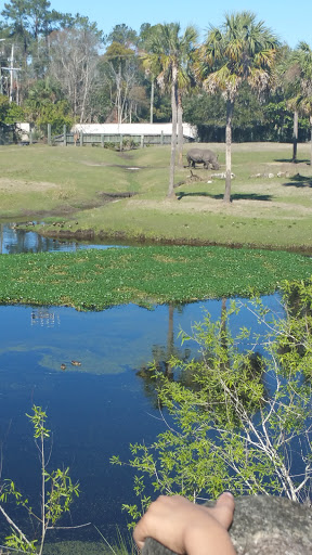 Zoo «Jacksonville Zoo and Gardens», reviews and photos, 370 Zoo Pkwy, Jacksonville, FL 32218, USA