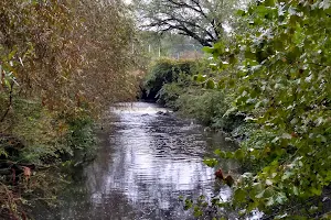 Leonards Mill Park image