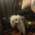 Photo n°5 de l'avis de Maik.r fait le 07/09/2023 à 20:07 sur le  Ristorante Pizzeria Il Pincio à Ancona