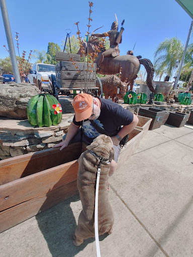 Building Materials Store «Silverado Building Materials», reviews and photos, 9297 Jackson Rd, Sacramento, CA 95826, USA