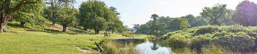 Bradgate Park