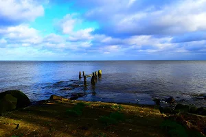 Polanka wraz z plażą na dzikie biwakowanie image