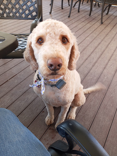 Winery «Grace Hill Winery», reviews and photos, 6310 S Grace Hill Rd, Whitewater, KS 67154, USA