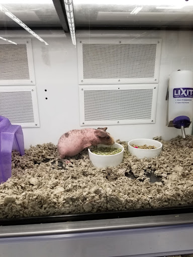 Pet Supply Store «Petco Animal Supplies», reviews and photos, 585 E Wetmore Rd, Tucson, AZ 85705, USA