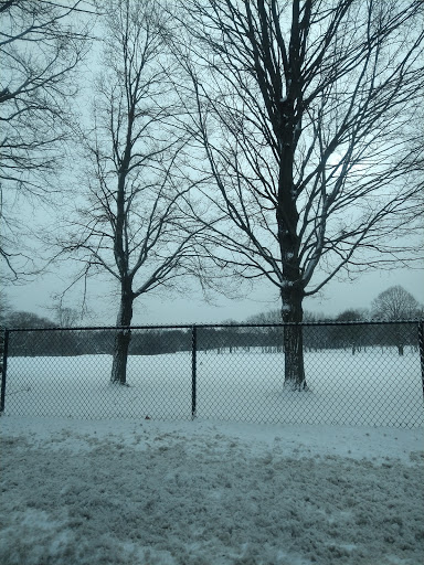 Public Golf Course «Greenfield Golf Course», reviews and photos, 12035 W Greenfield Ave, Milwaukee, WI 53214, USA