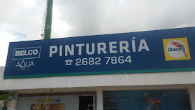 Pintureria Pmc Lagomar