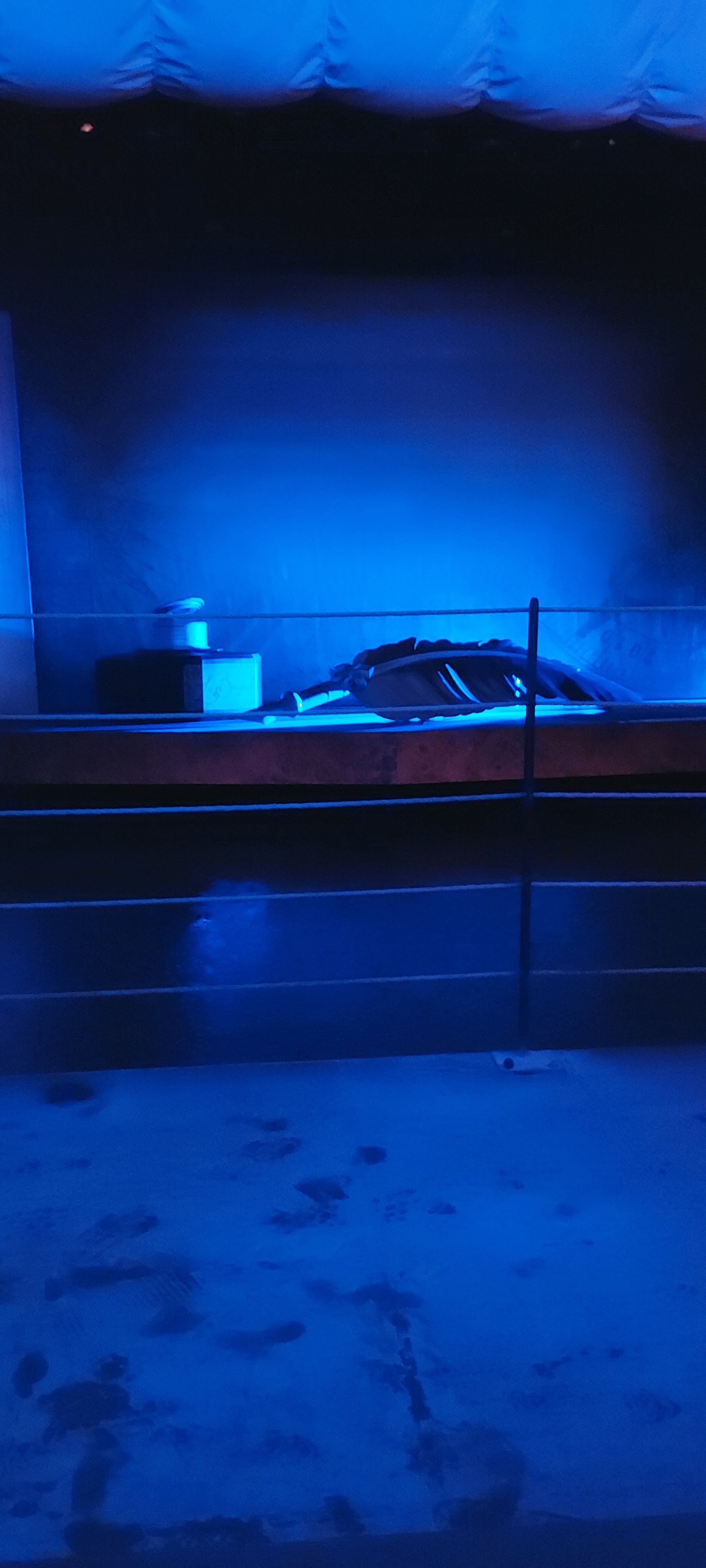 Photo n° 9 de l'avis de Ali.e fait le 24/12/2019 à 08:44