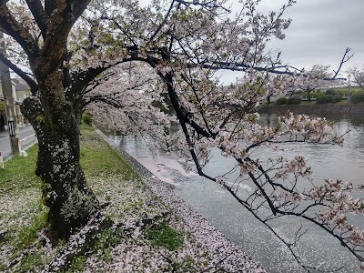 桑名城 三之丸堀跡