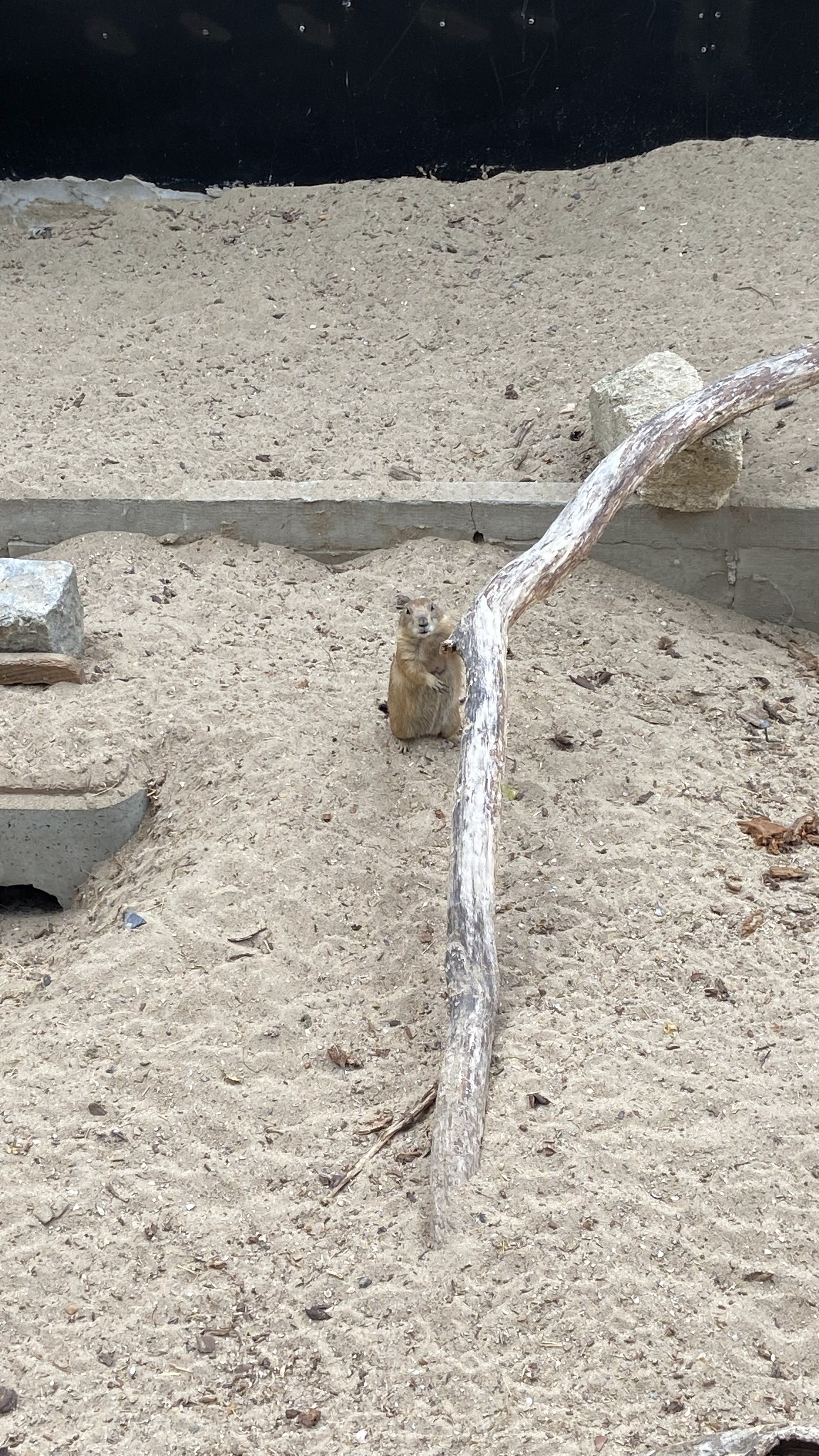 Photo n° 10 de l'avis de Sandy. fait le 26/07/2022 à 07:35