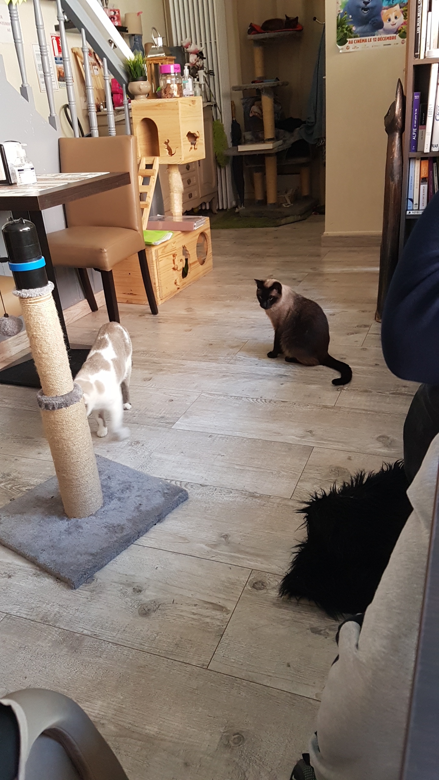 Photo n° 2 de l'avis de Mélanie.E fait le 28/03/2019 à 17:46