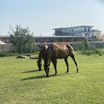 Photo n°4 de l'avis de adriana. fait le 20/08/2023 à 19:18 sur le  Hotel La Caporala à Castel d'Azzano