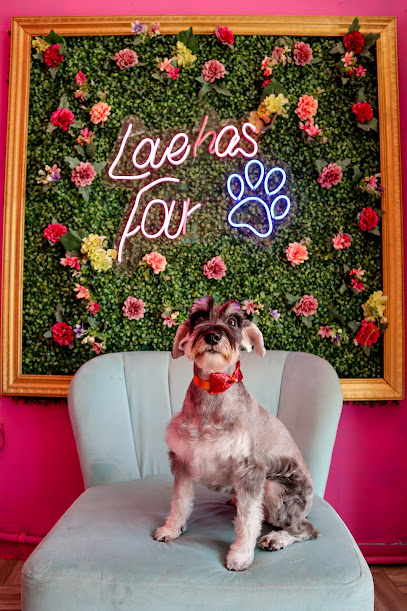 Jagger & Baileys Dog Grooming - Estética Canina y Pet Shop