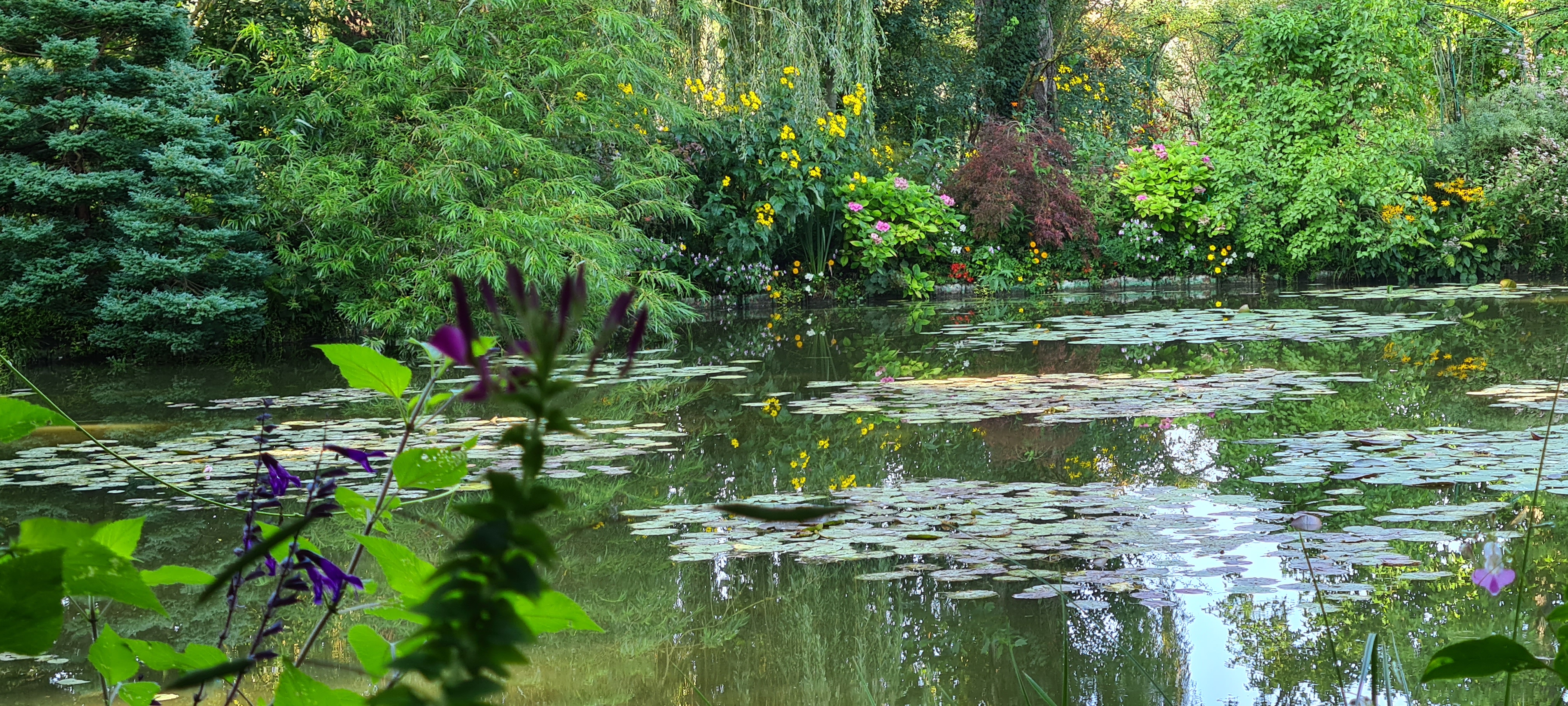 Photo n° 29 de l'avis de Gilles.o fait le 10/09/2021 à 06:37