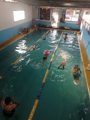 Clases natacion adultos Tijuana