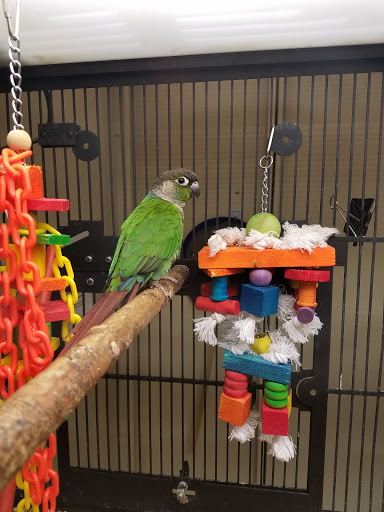 Pet Supply Store «PetSmart», reviews and photos, 6100 Arlington Blvd, Falls Church, VA 22044, USA