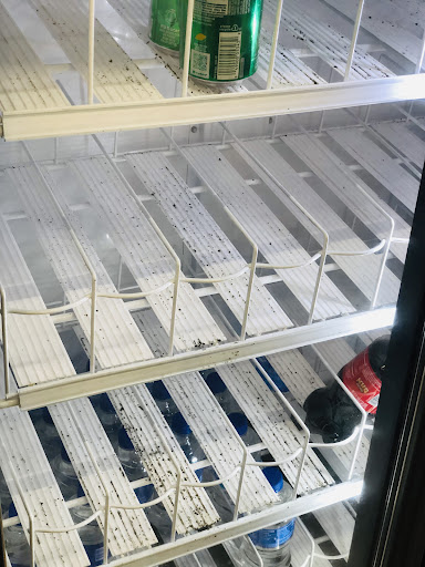 Dollar Store «Dollar Tree», reviews and photos, 1065 Kennedy Rd E, Windsor, CT 06095, USA