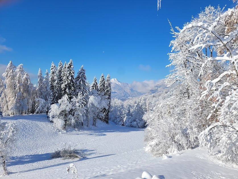 Locations74 à Saint-Sigismond (Haute-Savoie 74)