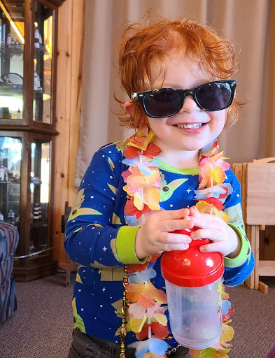 Computer Consultant «Computer Services of Michigan», reviews and photos, 3125 Rochester Rd, Royal Oak, MI 48073, USA