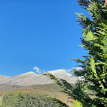 Photo n°4 de l'avis de Patrizia.o fait le 09/12/2023 à 12:47 sur le  Agriturismo Il Timo à Magliano de' Marsi