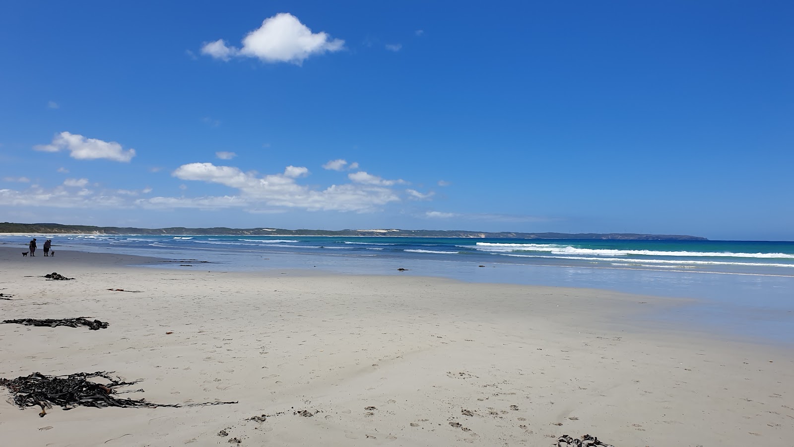 Foto von Shelly Beach, Victoria mit sehr sauber Sauberkeitsgrad