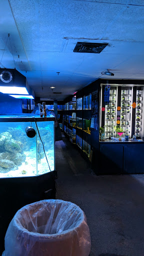 Pet Store «Lebanon Pet & Aquarium Center», reviews and photos, 196 S Main St, West Lebanon, NH 03784, USA