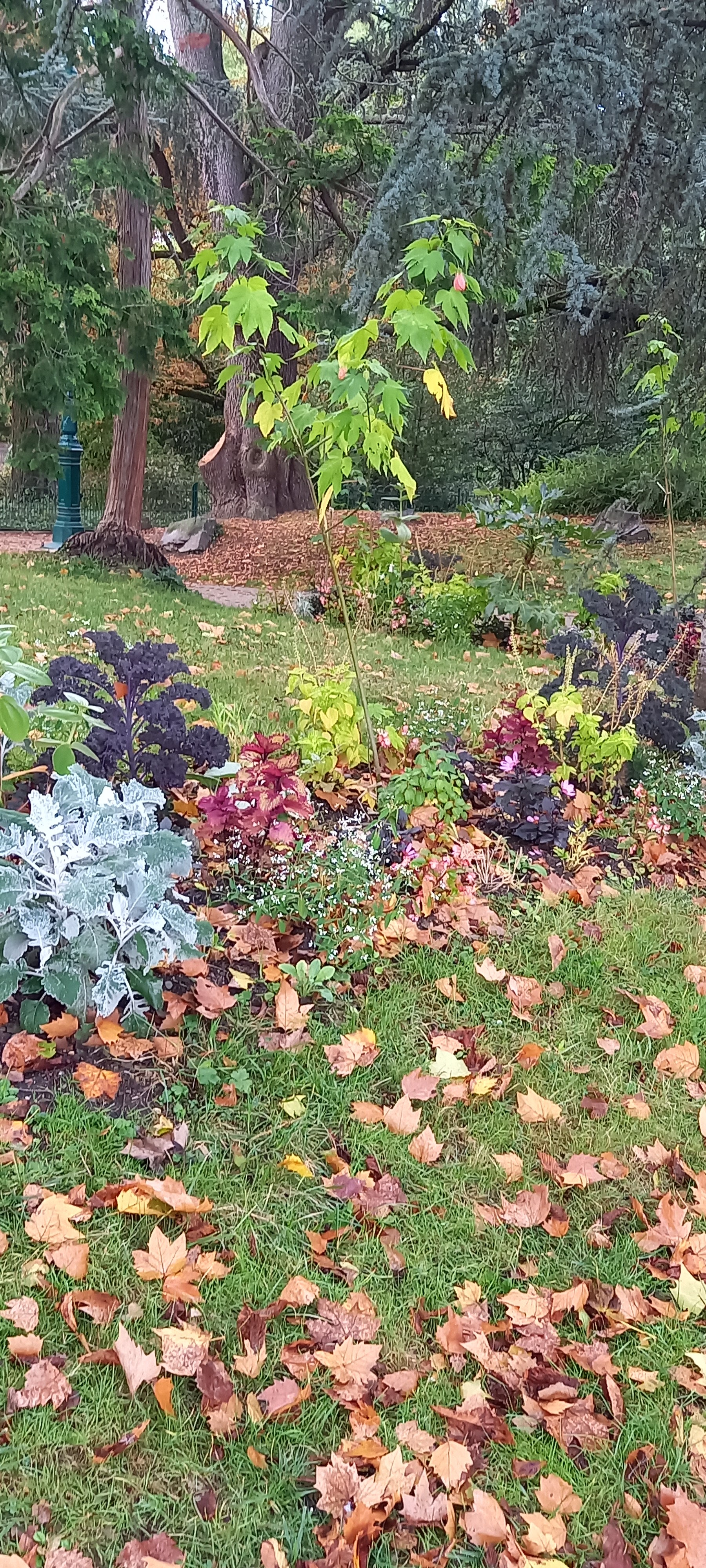Photo n° 4 de l'avis de Françoise.i fait le 29/09/2022 à 19:26