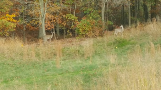 Golf Course «Charleston Springs Golf Course», reviews and photos, 101 Woodville Rd, Millstone, NJ 08510, USA