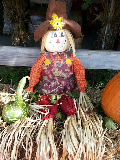 Farm «Giamarese Farm & Orchards», reviews and photos, 155 Fresh Ponds Rd, East Brunswick, NJ 08816, USA