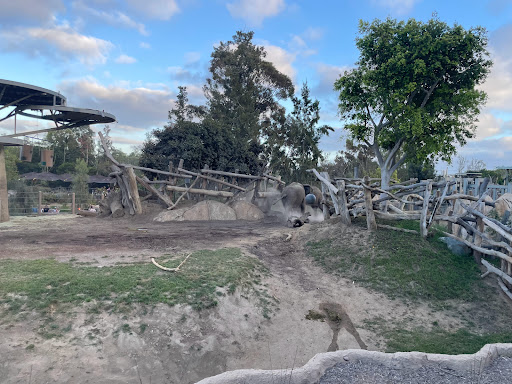 Zoo «Elephant Odyssey», reviews and photos, 2920 Zoo Dr, San Diego, CA 92101, USA