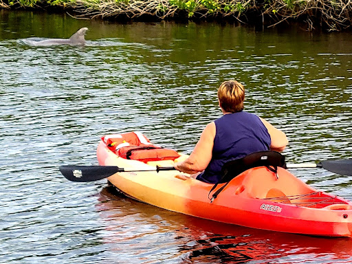 Outdoor Sports Store «Paddling Paradise», reviews and photos, 729 N Harbor City Blvd, Melbourne, FL 32935, USA