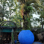 Photo n°5 de l'avis de Nicolas.O fait le 04/08/2022 à 07:05 sur le  Bamboo & Coconut - by Lago dos Cisnes - ESPAÇOS DE LAZER à Braga