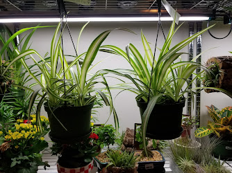 Plants on Plants on Plants