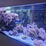 Photo n°14 de l'avis de Käthe.e fait le 14/11/2021 à 22:00 sur le  Gartenhotel Heusser à Bad Dürkheim