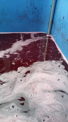 Winery «Hanson Vineyards», reviews and photos, 34948 S Barlow Rd, Woodburn, OR 97071, USA