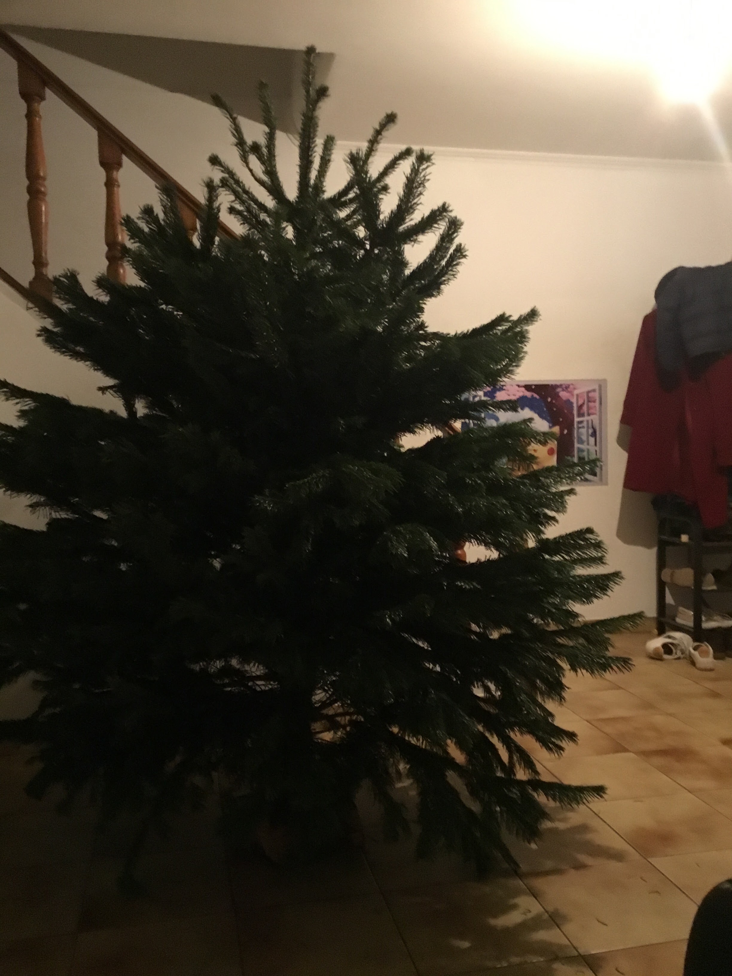 Photo n° 2 de l'avis de Vi. fait le 03/12/2022 à 07:32