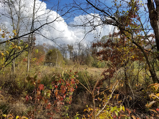 Car Repair and Maintenance «Midas», reviews and photos, 920 Route 46 East, Kenvil, NJ 07847, USA