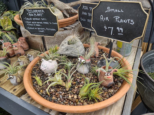 Greenhouse «Rose Floral & Greenhouse», reviews and photos, 14298 60th St N, Stillwater, MN 55082, USA